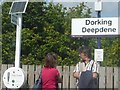 Dorking : Dorking Deepdene Station