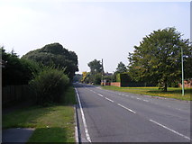 TM4977 : A1095 Halesworth Road, Reydon by Geographer