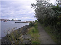 NT1381 : Fife Coastal Path by Sandy Gemmill