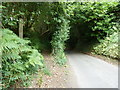 Footpath at the top of Stubb Hill on Iping Lane