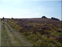SO3597 : Approaching Nipstone Rock on the Stiperstones ridge by Jeremy Bolwell