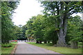 The north eastern gate of Dunham Park