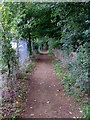 Path in Elthorne Park