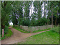 Path in Elthorne Park