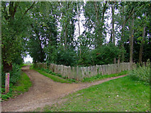 TQ1678 : Path in Elthorne Park by Thomas Nugent