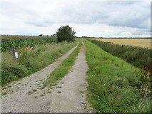 SD4349 : Bridleway leading North from Gulf Lane by Chris Heaton