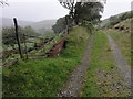 A track in the rain