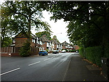SD6909 : Tudor Avenue, Bolton by Ian S