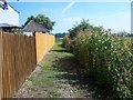 Footpath To Mill Stream