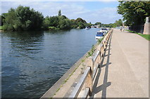 TQ1568 : River Thames at Hampton Court by Philip Halling