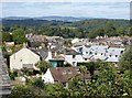 Roofs of Totnes