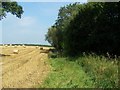 Footpath Near Barton St David