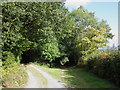 Bridleway to Little Birch