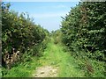 Footpath Off Blind Lane