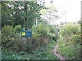 Entrance path, Aconbury Wood