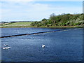 NU2505 : River Coquet near Warkworth by Maigheach-gheal