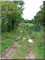 Bridleway at Ashley Hill