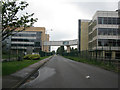 The Ramsgate Road passing through the Pfizer site