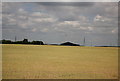 Rural landscape by the A11