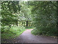 Footpath - Ainsbury Avenue