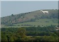 West Wiltshire : Westbury White Horse