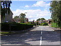 Spring Park & the footpath to Hall Lane