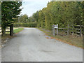 Road to Top Brackendale Farm