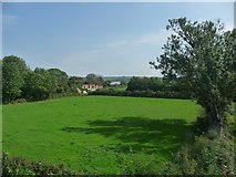 ST6233 : South Somerset : Green Field by Lewis Clarke