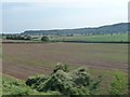 South Somerset : Ploughed Field