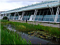 Ornamental pond Greenock Waterfront