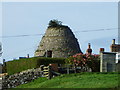 Sunny Brae Dovecote, Embleton