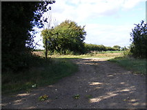 TM2158 : Footpath to Bird's Lane by Geographer