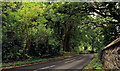 The Ballinderry Road near Lisburn