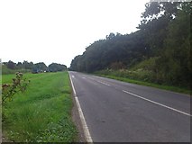 TQ1815 : Horsham Road the B2135 south to Steyning by Dave Spicer