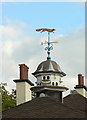 SK6837 : Dovecote and weather vane at The Court, Cropwell Butler by Alan Murray-Rust