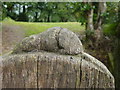 Mouse carving on the gatepost of the church of St. Michael and St. George, Castleton