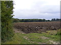 Field entrance off Easton Lane