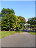 SE1616 : Autumn trees, Ravensknowle Park. by Samantha Waddington