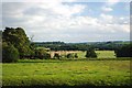 Pasture Near Keele