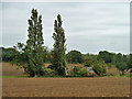 Barn at former Monk