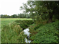 River Chelmer above Absol Bridge