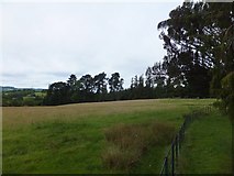 SX8783 : Looking northwest from the grounds of Whiteway House by David Smith