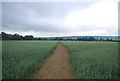 Footpath to Birling