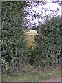 Footpath to Framsden & Otley Roads