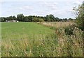 Field boundary near Marden