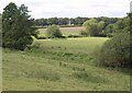 Farmland near Patney