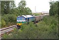 Goods train near Patney