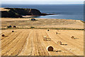 Harvest time at Woodend