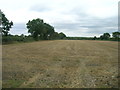 Farmland, Tilts Hills