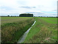 Field drain near Balne Hall